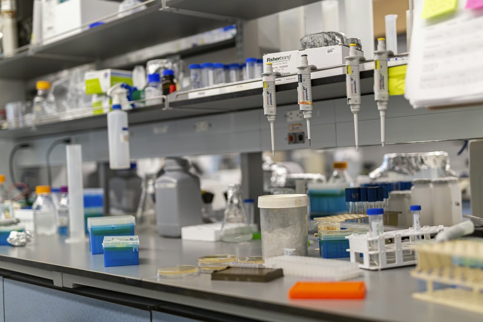 A working laboratory bench with pipettes hanging from a shelf, sample tubes in racks, and glassware arranged across the counter